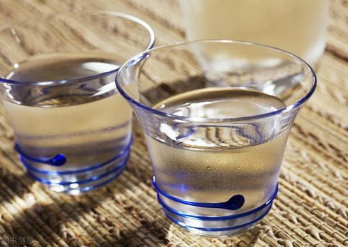 真假酒的解毒迷思 科學解析與醫生的忠告